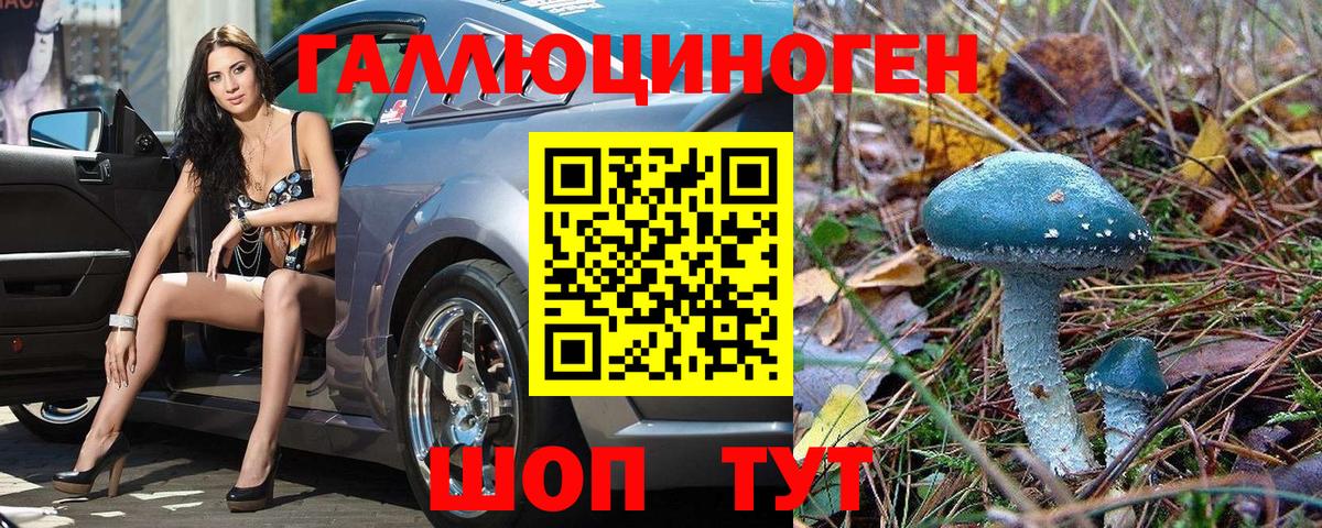 Азнакаево  Галлюциногенные грибы Cubensis  Вход с VPN 
