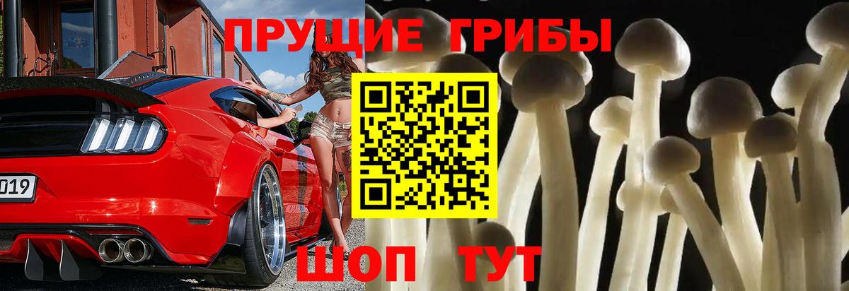 Псилоцибиновые грибы Psilocybe Азнакаево